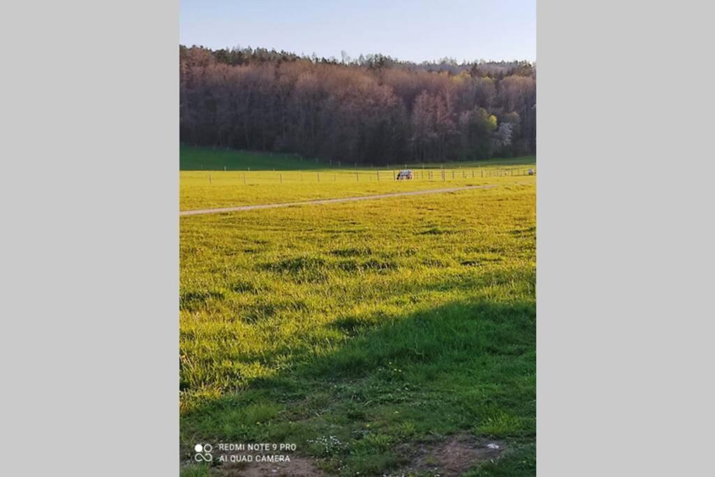 Schoene Helle Ferienwohnung In Waldnaehe Berching Exterior foto